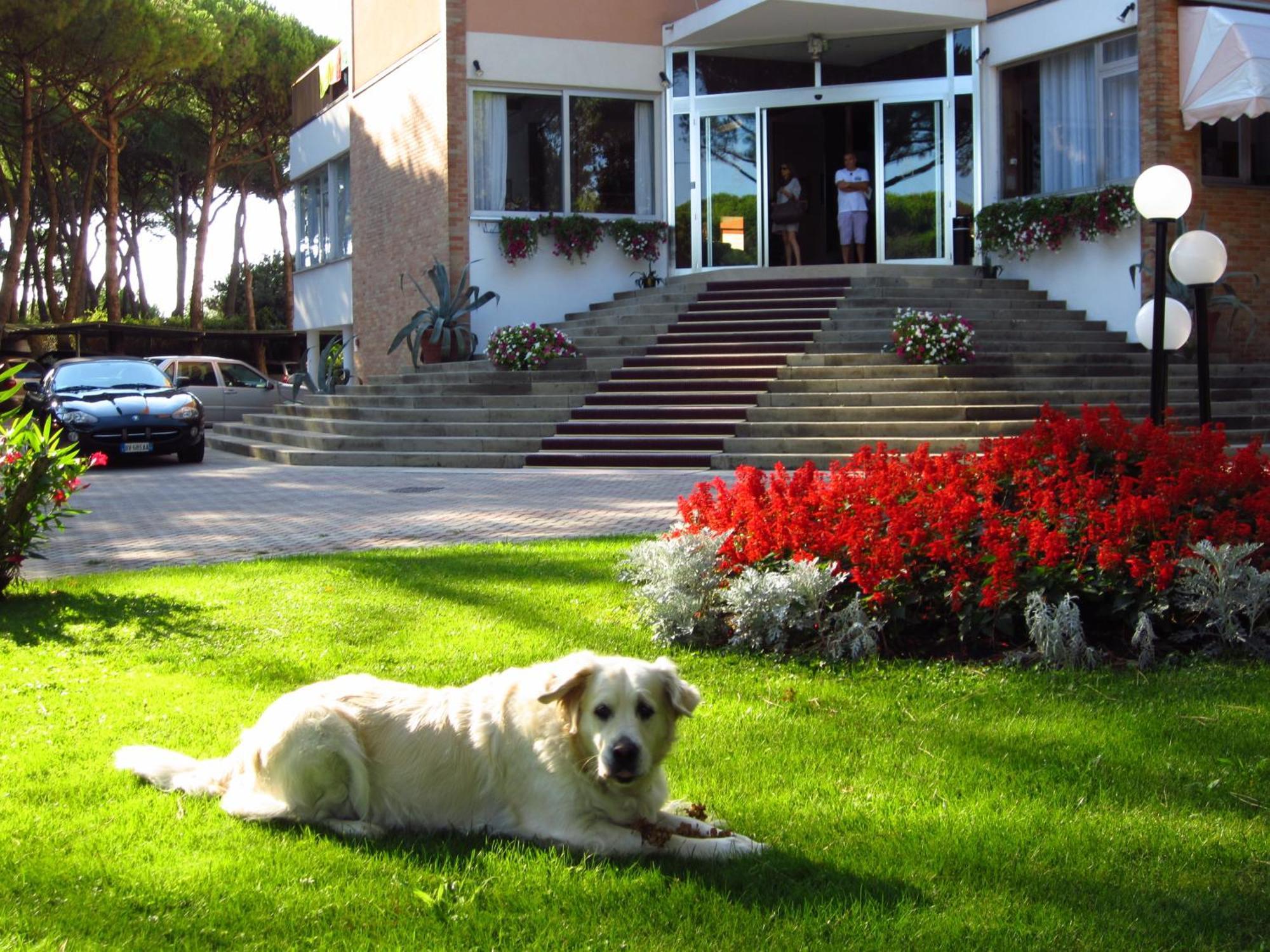 Hotel Beau Rivage Pineta Lido di Jesolo Bagian luar foto